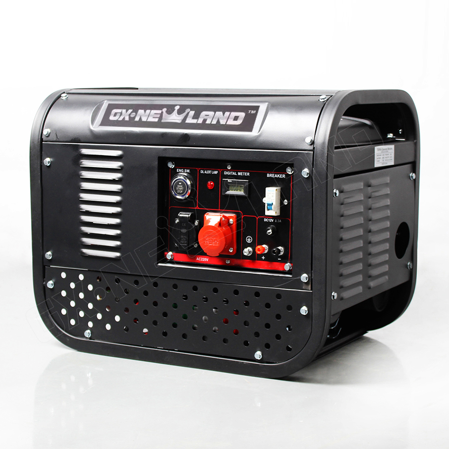 Newland 2-3kw NL2500D gasoline generator